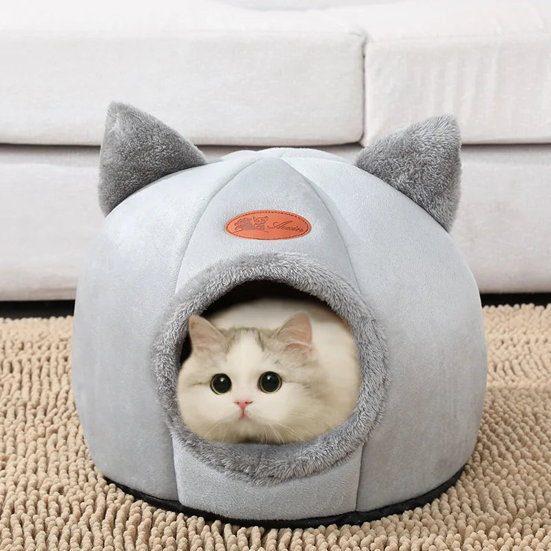 Lit de chat tapis de glace