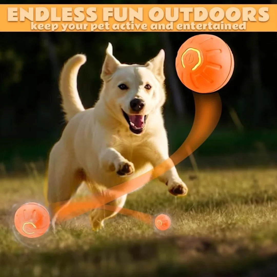 Boule d'amusement électrique pour chien et chat
