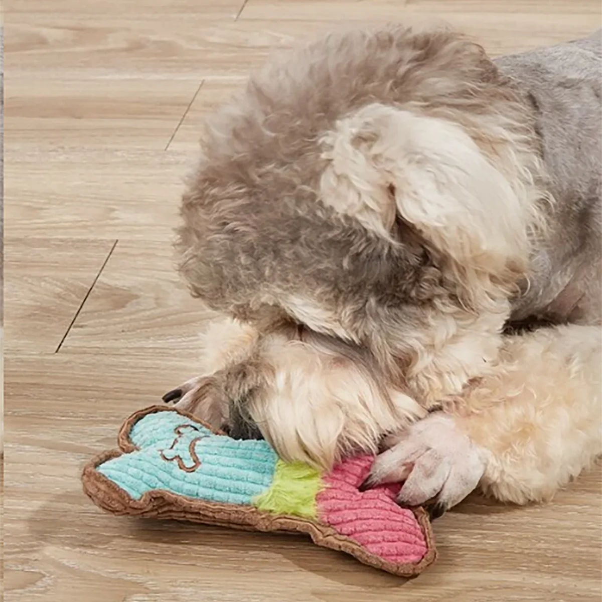 Jouet pour chien