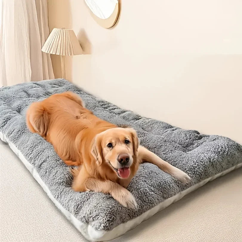 Extra large espace de lit pour chien