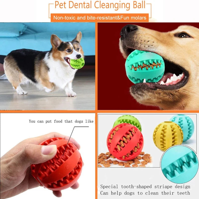 Boules en caoutchouc interactives pour chien