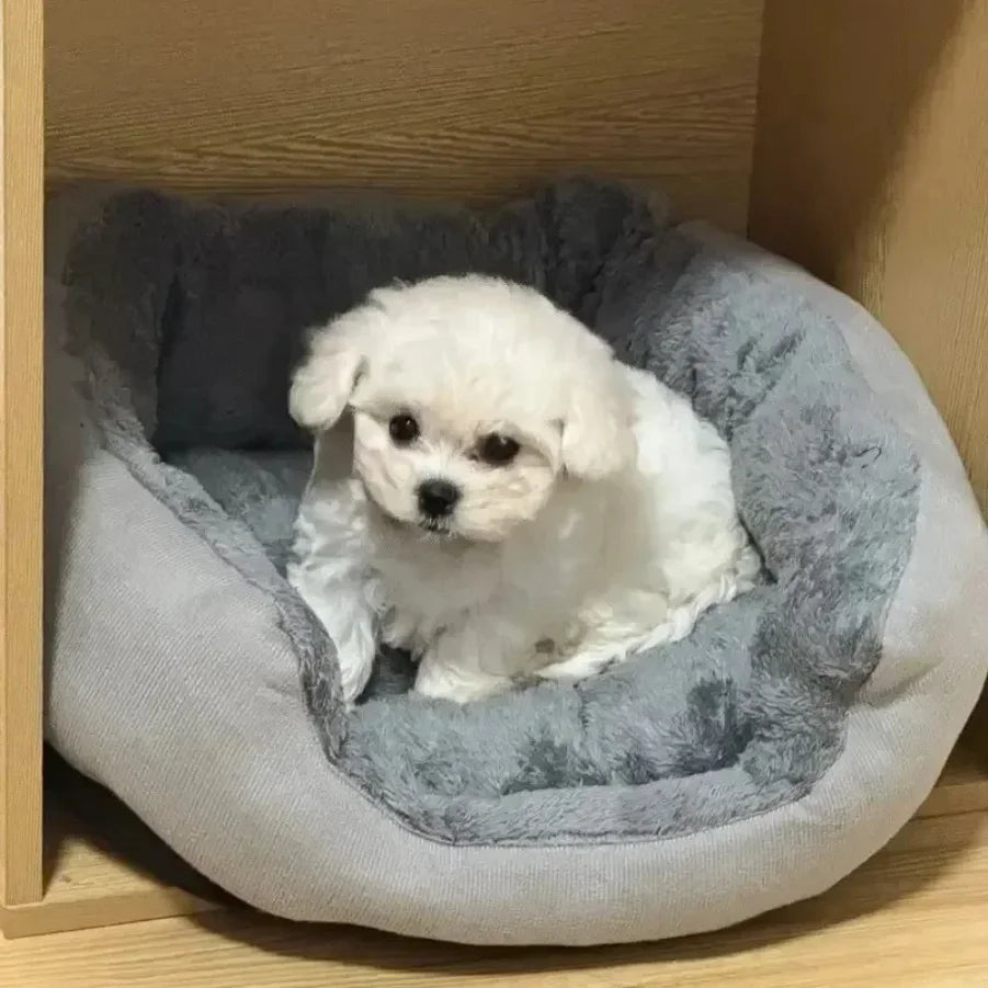 Lit très doux et chaud pour chien