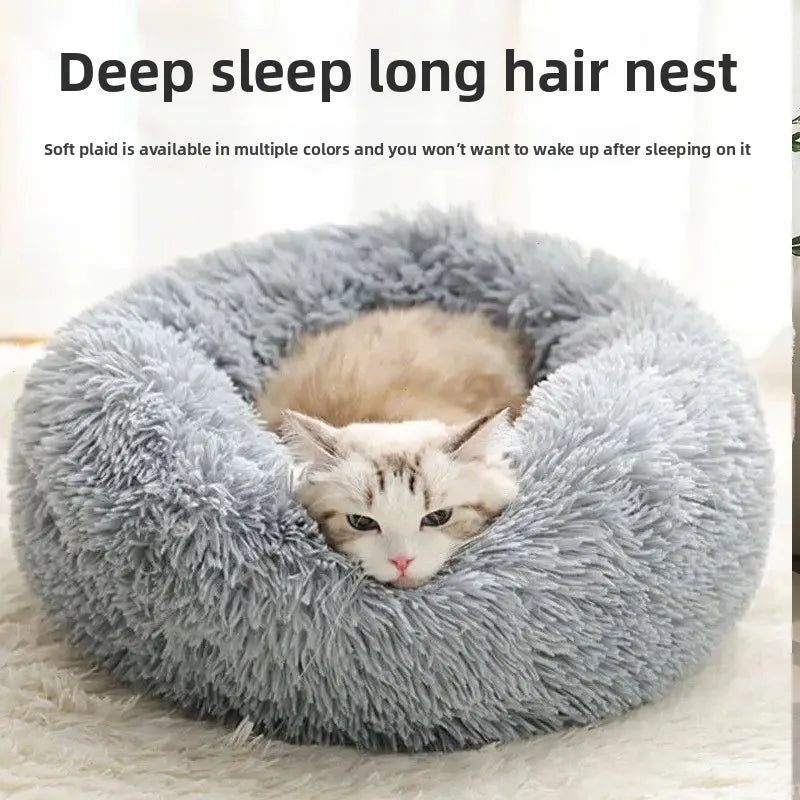 Nid de chat chaud d'hiver
