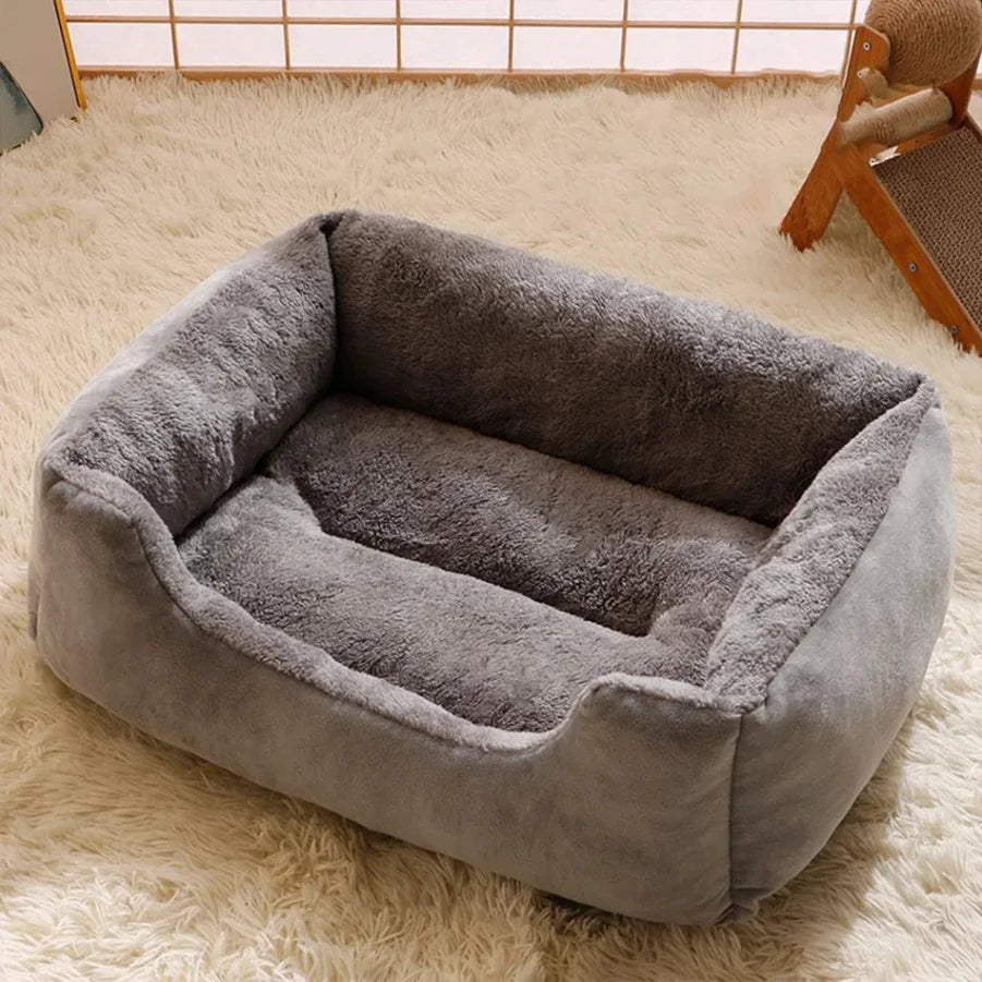 Lit pour chats