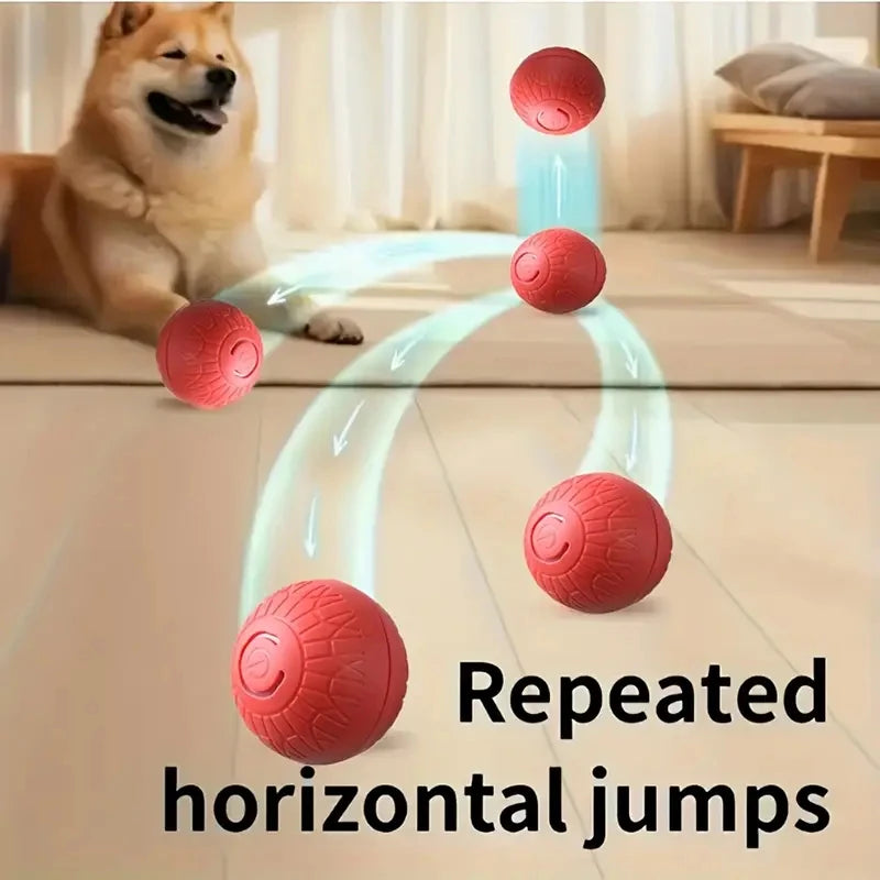 Balle qui bouge toute seule pour chien