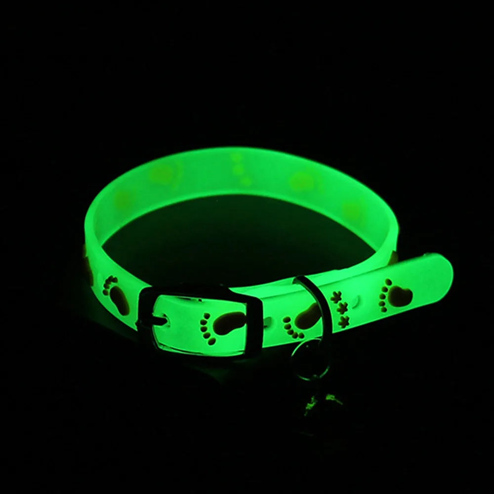 Collier lumineux pour chat