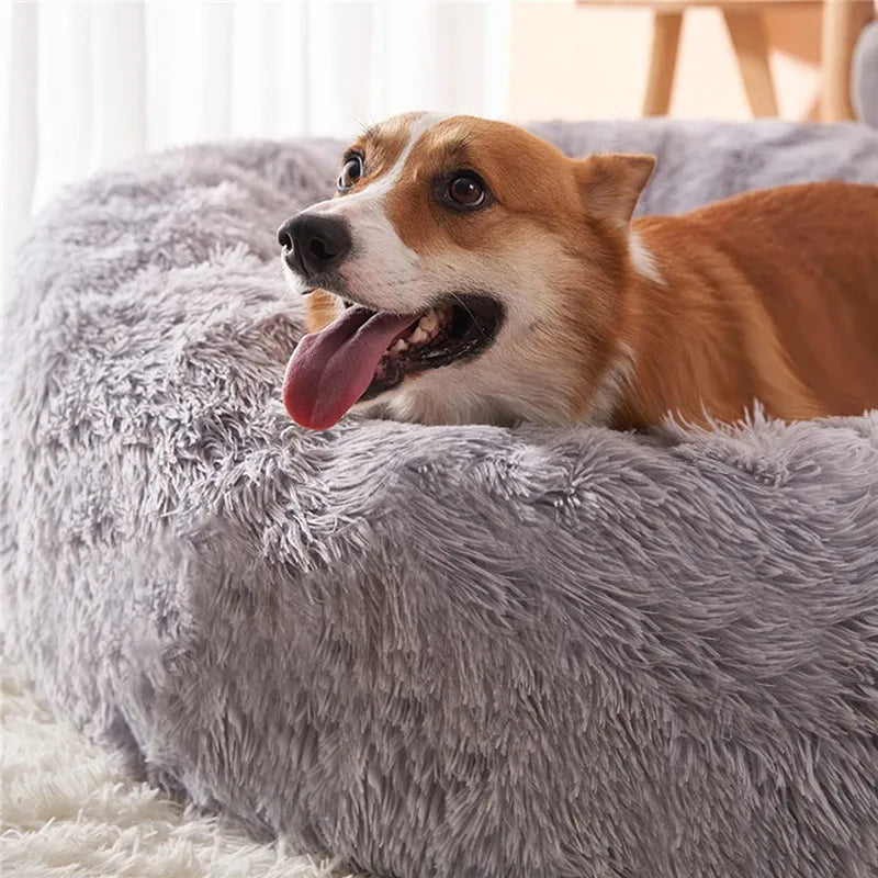 Lit rond en peluche super doux pour animaux de compagnie