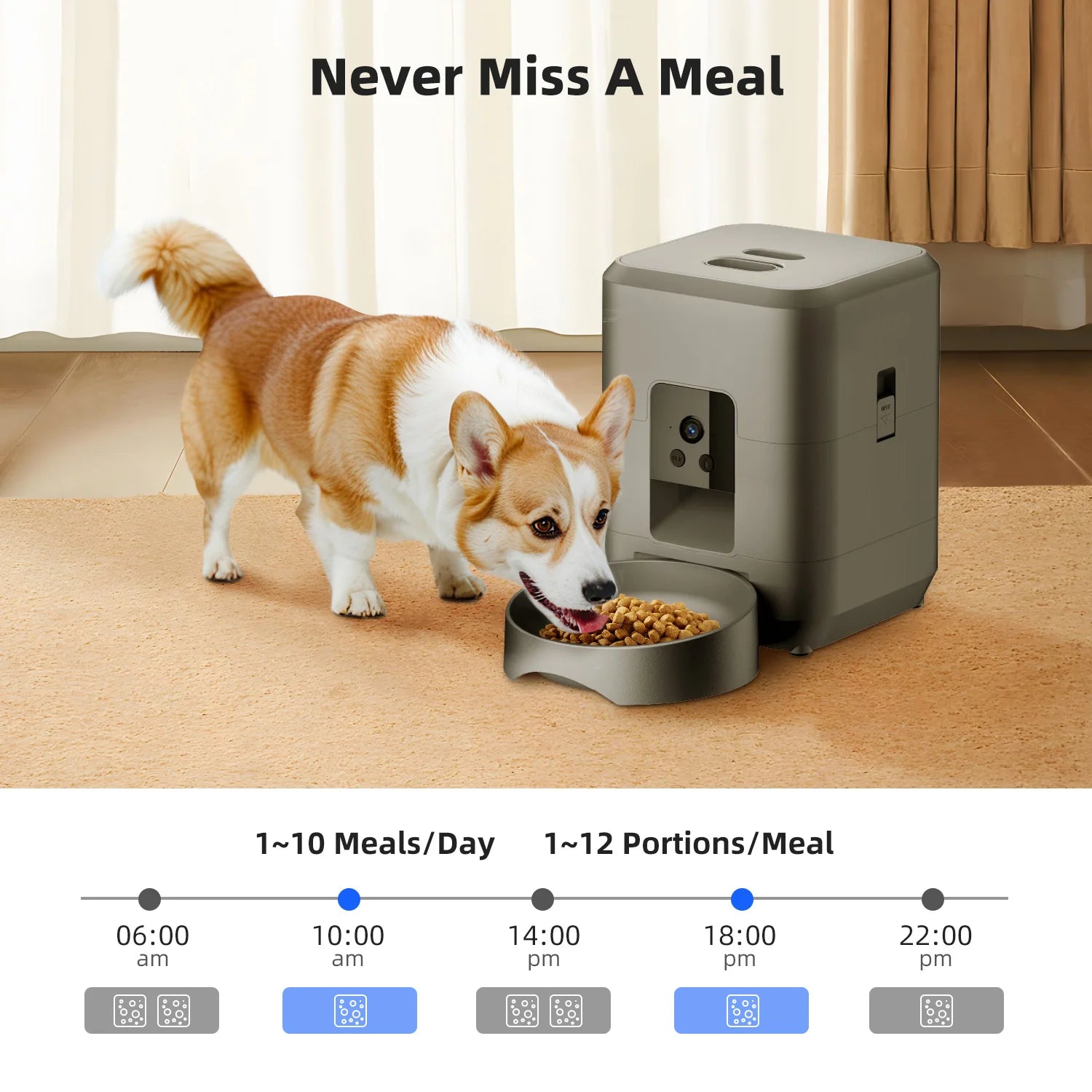 Mangeoire automatique pour animaux de compagnie