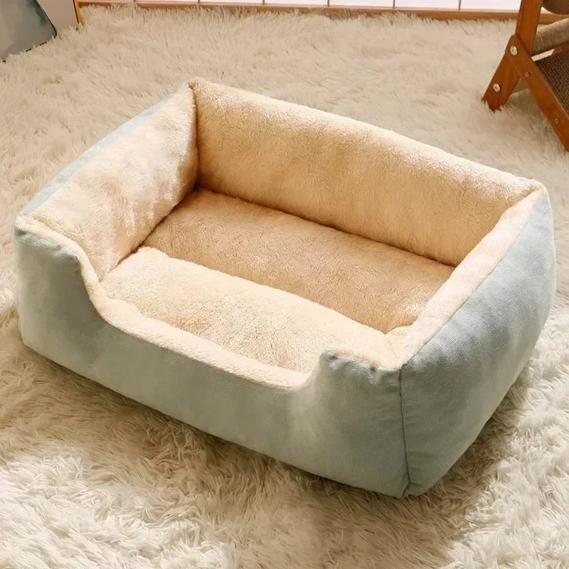 Lit pour chats
