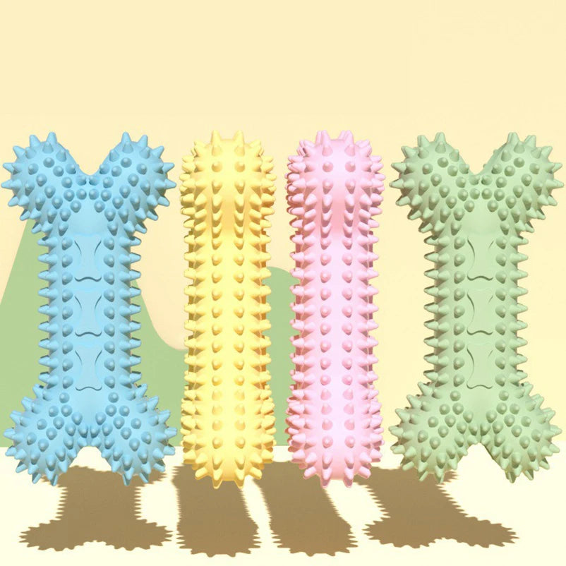Jouets en os multicolores