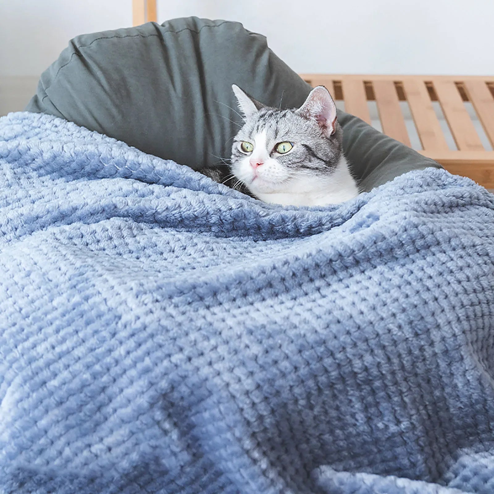 Couverture douce pour animaux de compagnie