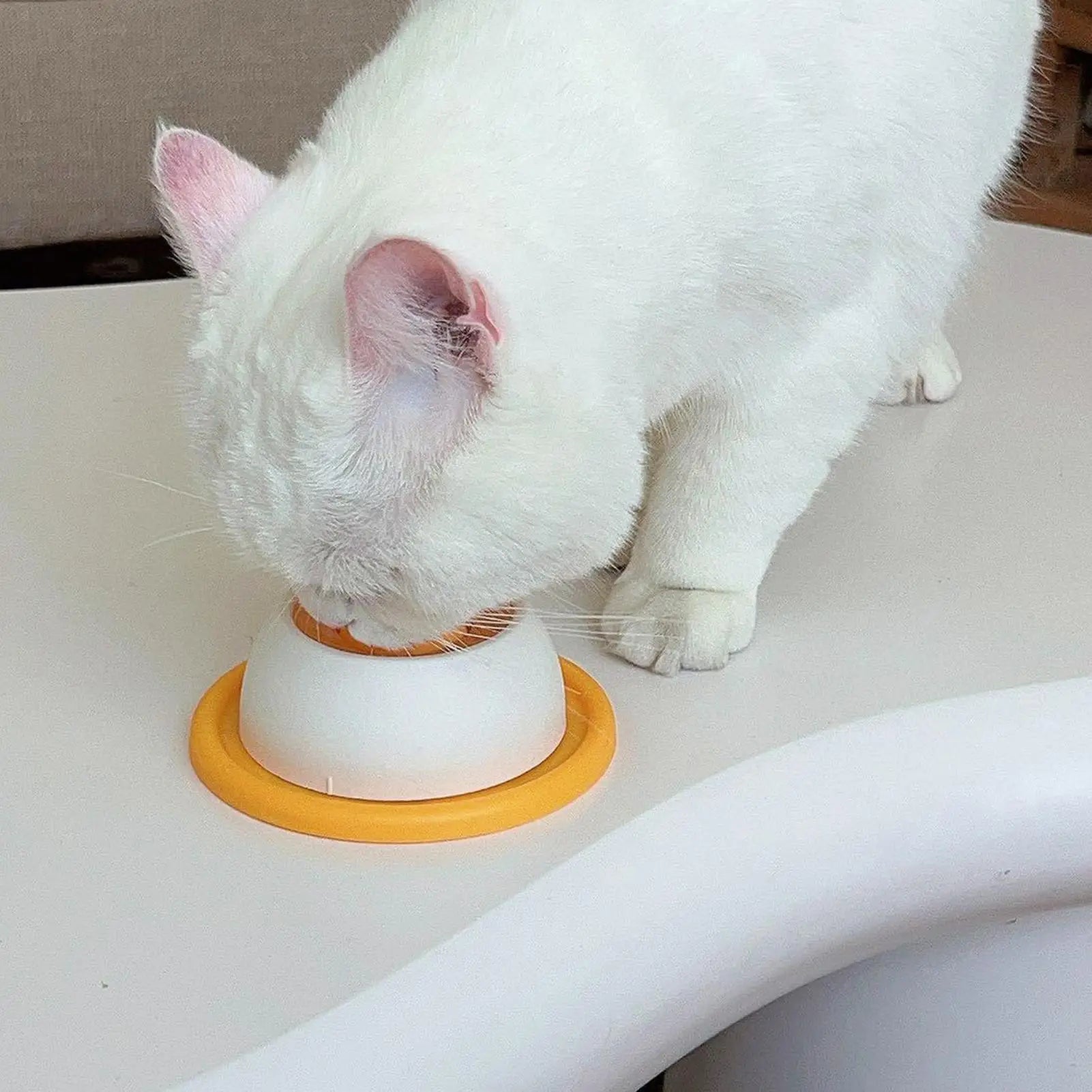 Jouets à lécher pour chiens et chats