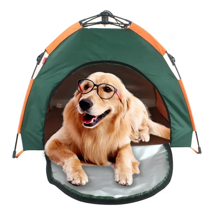 Maison tente pour chien